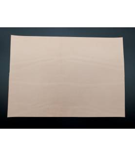 Rectangle de cuir épais