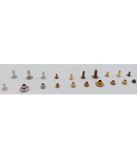 Lot de rivets vue face